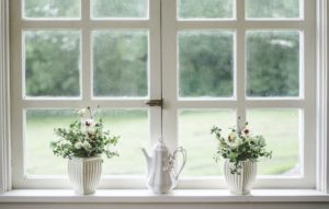 window with 2 pots of plants