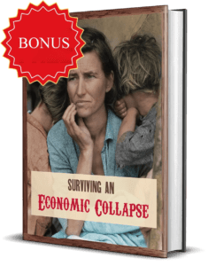 Surviving an Economic Collapse